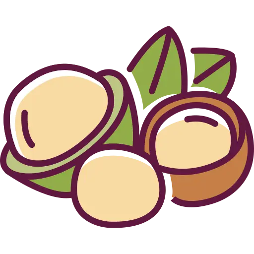 macadamia