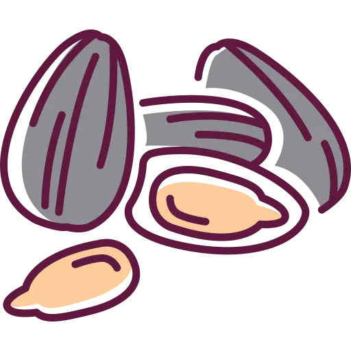sunflower-seed